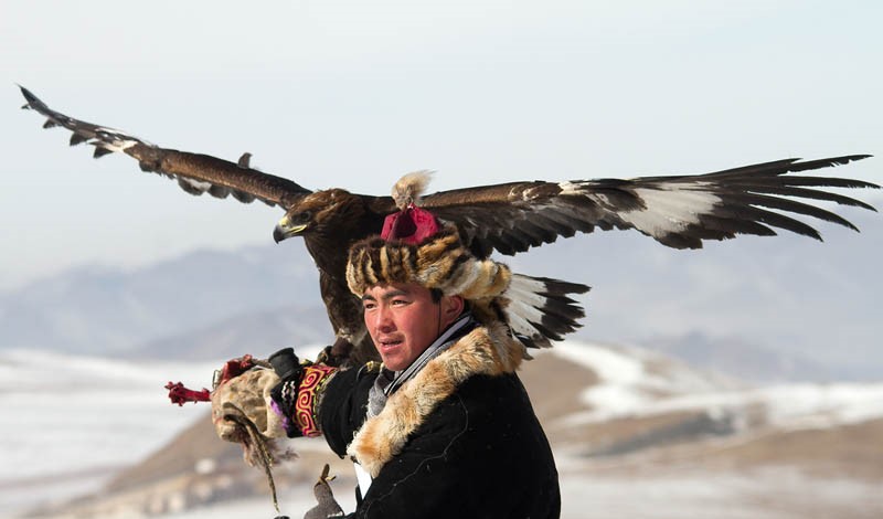 eagle training mongolia 